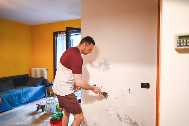 Best Basement Mold Remediation in Bronx, NY